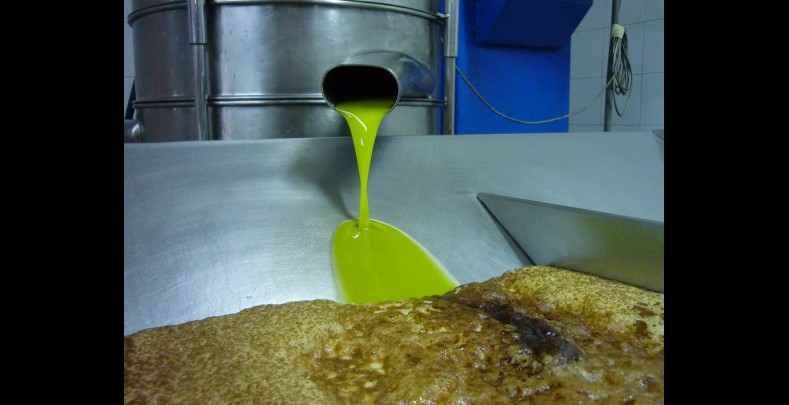 extracción aceite oliva